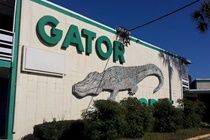 Gator Lodge Jacksonville Eksteriør bilde